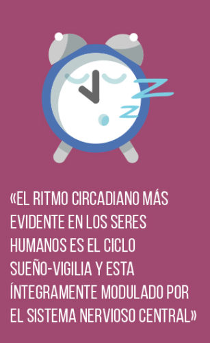 01 Ritmo 01 Ritmo